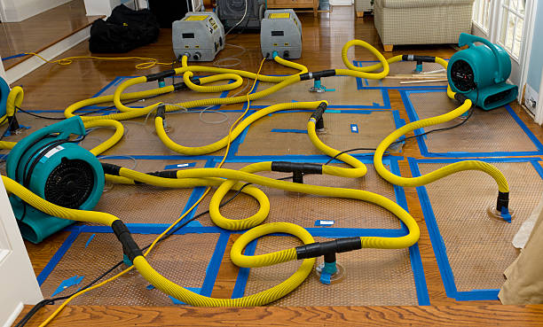 Professional Water Extraction technician working in Andover, NJ